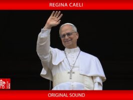 Papa Leone XIV – Angelus del 4 ottobre 2026 – Il testo, il video e il file mp3 Papa Leone XIV - Angelus della domenica