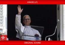 Papa Leone XIV โ Angelus del 21 Dicembre 2025 โ Il testo