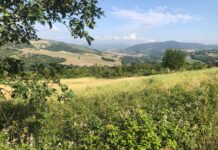 Carmelitani – Commento al Vangelo di giovedรฌ 25 Dicembre 2025 carmelitani