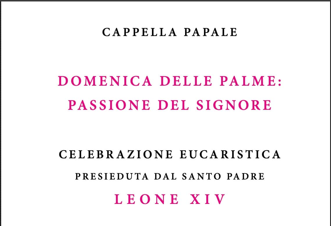 libretto palme 2026 vaticano