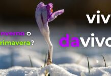 Vivere da Vivo: La Risurrezione Oggi