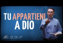 p. Luca Arzenton – Commento al Vangelo di oggi, 2 giugno 2026