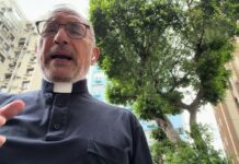 Don Bernardo Cervellera – Commento al Vangelo di domenica 12 luglio 2026 Don Bernardo Cervellera - Commento al Vangelo di domenica