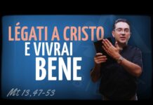 p. Luca Arzenton – Commento al Vangelo di oggi, 30 luglio 2026 p. Luca Arzenton - Commento al Vangelo di oggi, 30 luglio 2026
