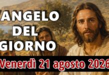 TV Pater – Commento al Vangelo del 21 agosto 2026 TV Pater - Commento al Vangelo del 21 agosto 2026