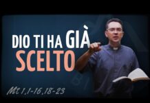p. Luca Arzenton – Commento al Vangelo di oggi, 8 settembre 2026 p. Luca Arzenton - Commento al Vangelo di oggi, 8 settembre 2026