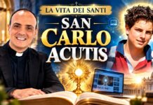 La storia di San Carlo Acutis: il giovane santo dell’era digitale La storia di San Carlo Acutis: il giovane santo dell'era digitale